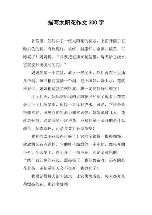 描写太阳花作文300字