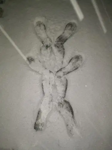 下雪了,谢谢爸爸,妈妈,姐姐对我的爱