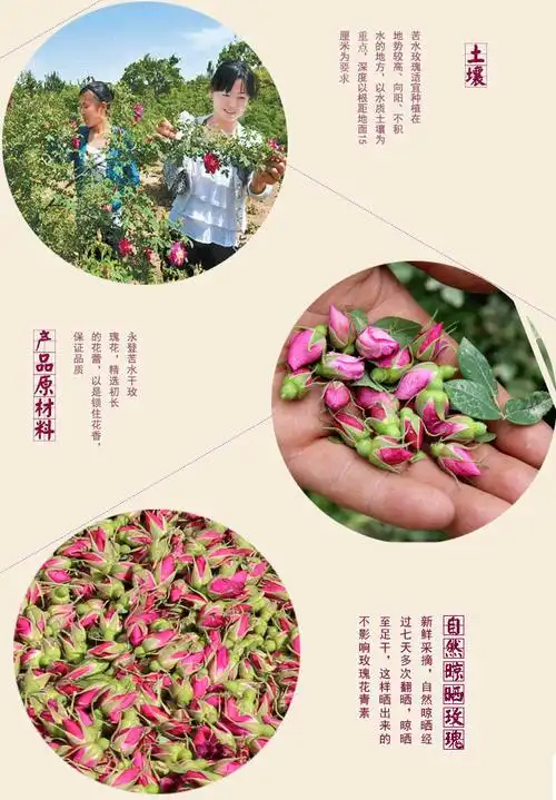 苦水玫瑰花茶甘肃兰州特产特级天然紫红小干玫瑰散装泡水250g