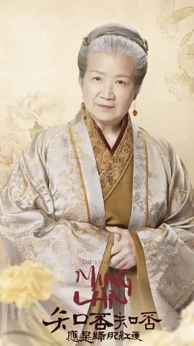 知否知否应是绿肥红瘦曹翠芬古装造型