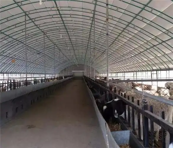 建设养羊大棚山羊养殖棚搭建养羊棚安装包工包料