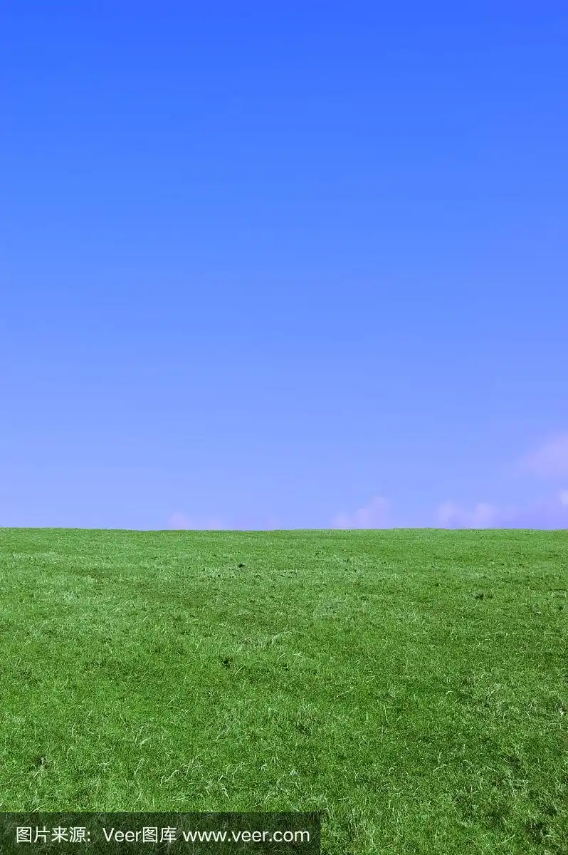 草地和蓝天