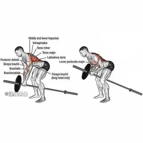 下面是一套常规的背部训练动作图解