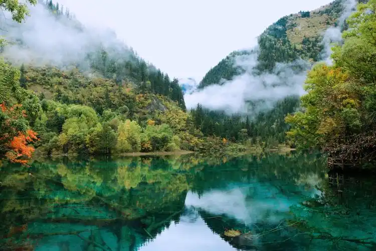 【图片2】深秋的九寨沟--蜂鸟论坛照片套图