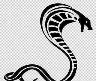 蛇logo图片