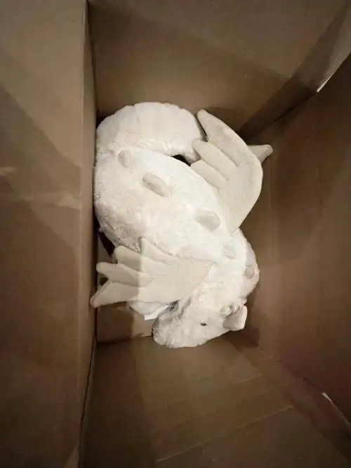 jellycat雪龙就这大失所望了