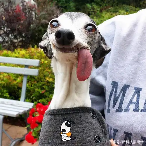 恶搞搞怪天真萌娃,看了这些图片,笑的肚子疼!专治不开心