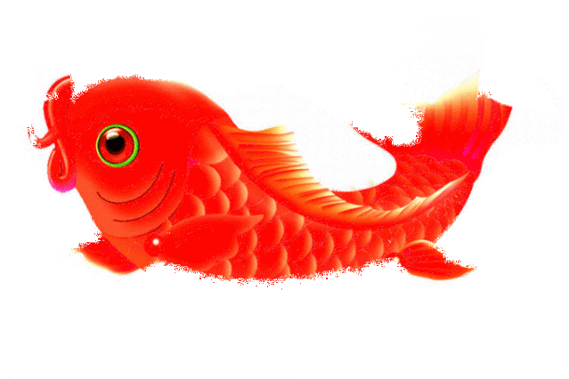 亲爱的早上好新的一年祝你鱼跃龙门如鱼得水游刃有余