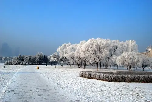 >> 文章内容 >> 雾淞形成的原因 雾凇是怎么形成的问:详细点答:吉林