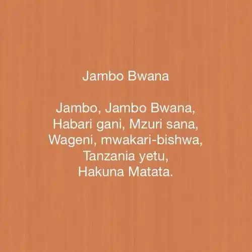 关于斯瓦希里语的问候语:jambo, mambo, habari, shikamoo.