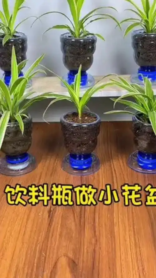 手工 #自制花盆 #变废为宝 #空瓶子的妙用