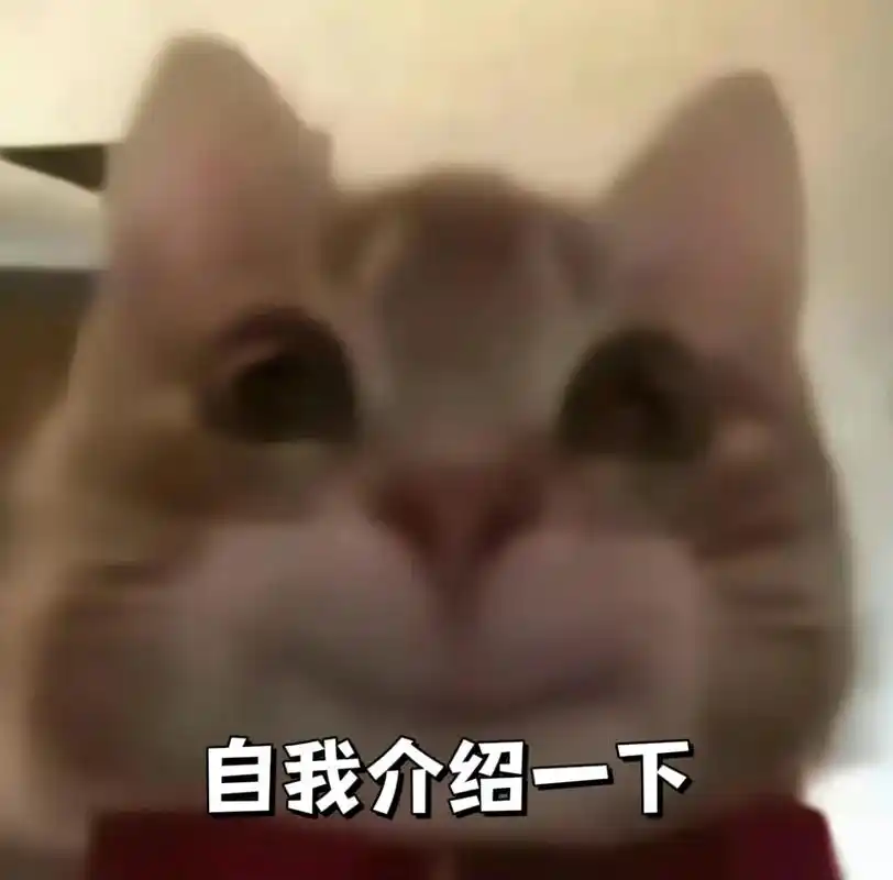 自我介绍一下#情侣表情包 #歪嘴小猫 #表情包 - 抖音