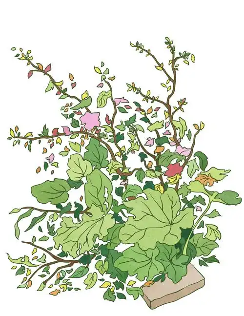 花|插画|插画习作|yihyih - 原创作品 - 站酷 (zcool)