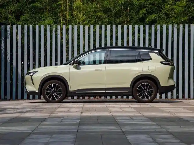 新能源新能源新能源2021款威马w6520