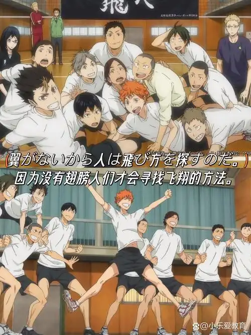 看台词学日语之《排球少年》🏐 🙋🏻‍♀️我说排球少年没