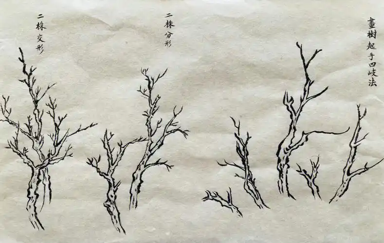 山水画从学画树开始