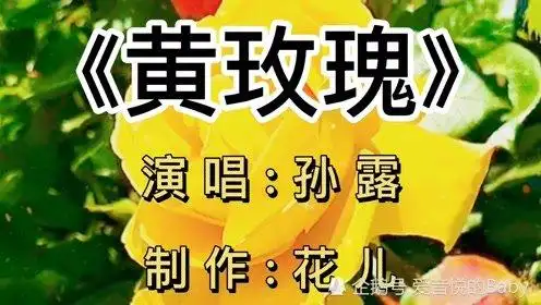 一首《黄玫瑰》送给怀旧的你
