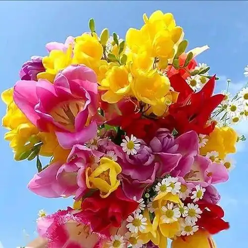 中老年头像大全最招财祈福吉利微信头像