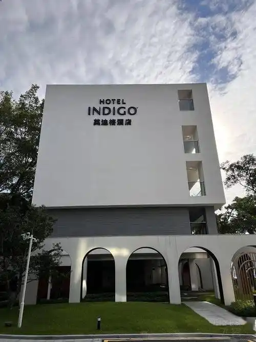 海心乘韵,动感邻里,自在观鸟——广州海心沙英迪格酒店_房间_味道