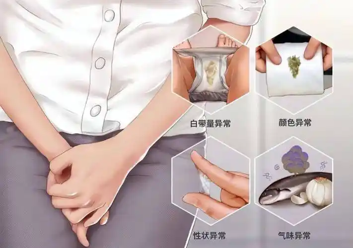 女性_男性_内裤