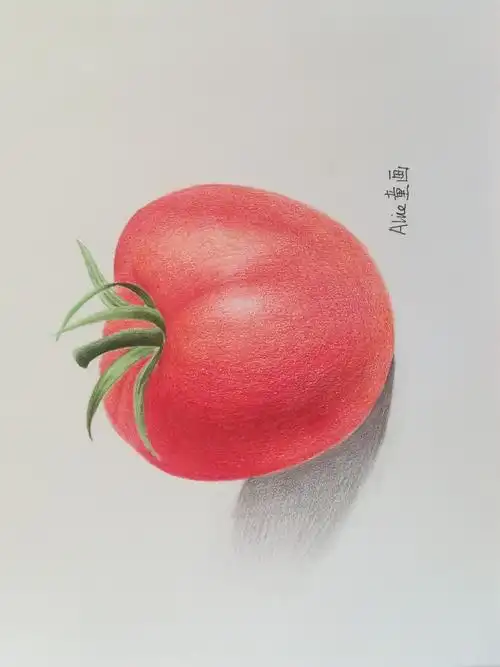 彩铅教程 | 西红柿