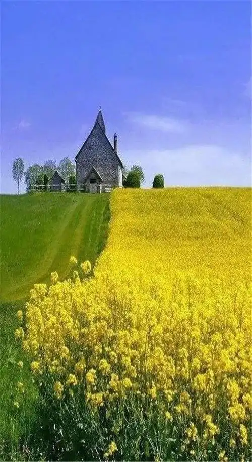 寂静的山野,好美呀!