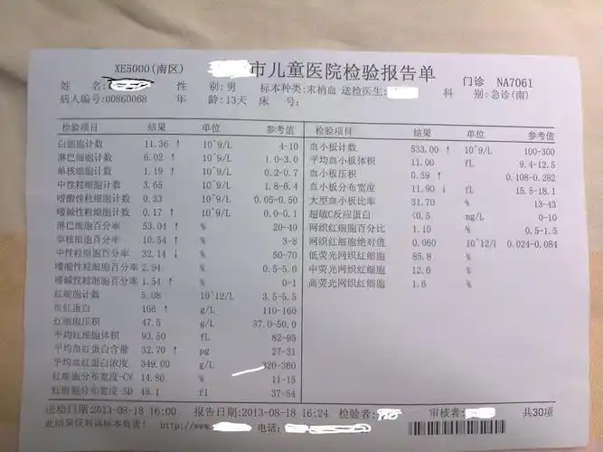 末梢血检验报告解析