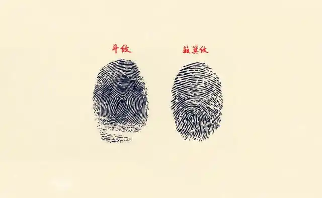 就是什么命!_簸箕