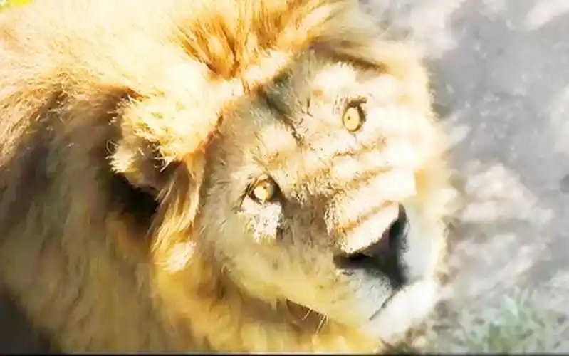 【泰加/马利什】告别,独一无二的你_哔哩哔哩