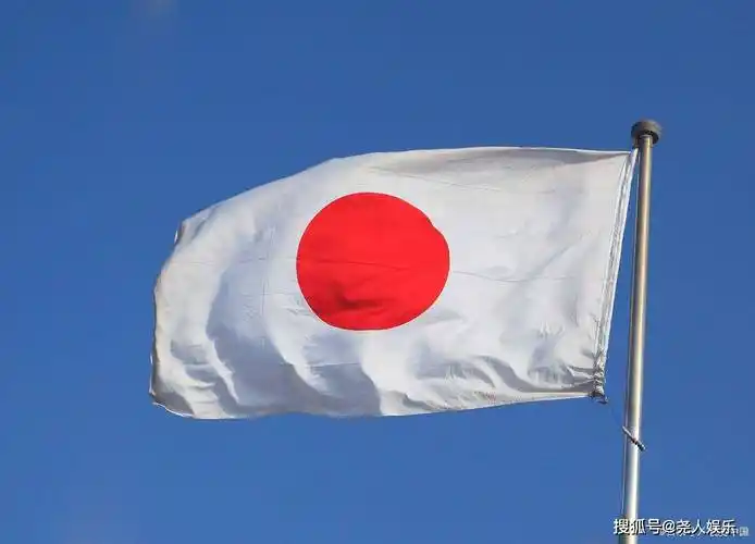 滨州市区发现一辆轿车贴有日本军旗引发热议_侵略_什么_处罚法