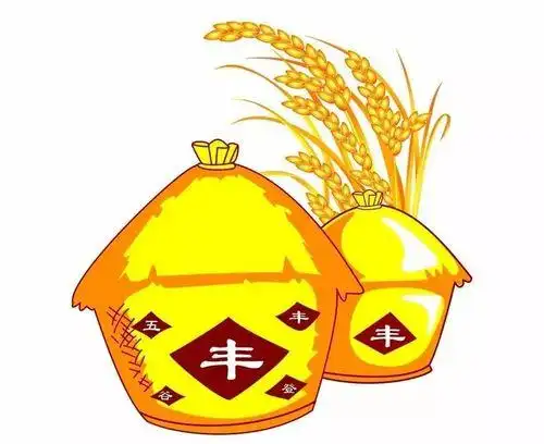 水稻图片稻子 稻米 水稻图片谷子简笔画图片,教程