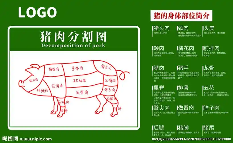 猪肉分割图图片