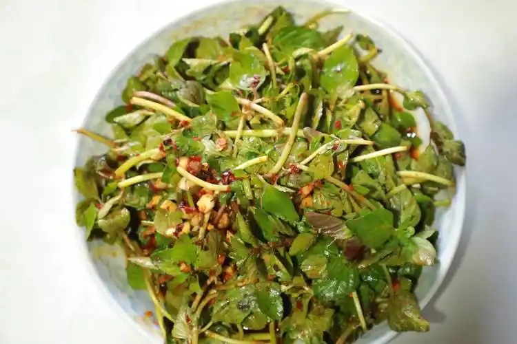 云南施甸天然美食:水香菜 春味"食足"_吃法_骨头_豆豉