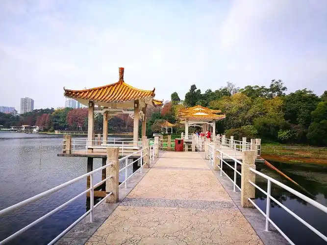 广州过年20190205大年初一麓湖公园