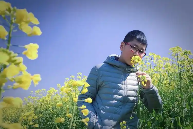 桶老师手机摄影小技巧|"38女生"遇上油菜花海