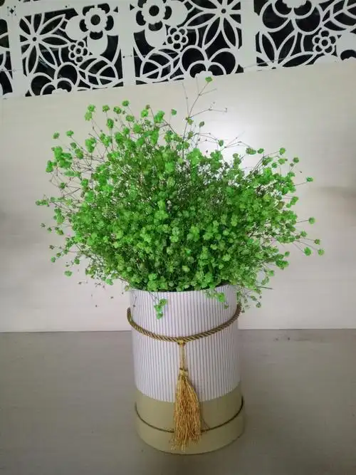 礼盒插绿色满天星