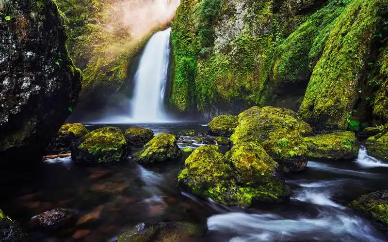 10wallpaper 风景 壁纸 原始森林自然风光高清照片桌面壁纸 >>壁纸