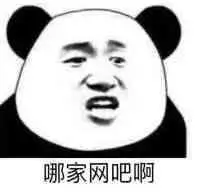 哪家网吧啊 - 死仔,出来上网啊 熊猫金馆长_金馆长_熊猫_表情头牌表情