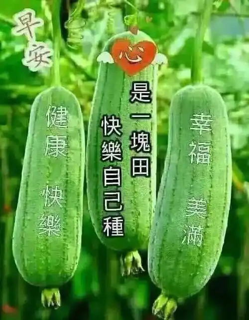 6月1日清晨早上好问候祝福动态表情图片6月最新早安问候祝福图片带字