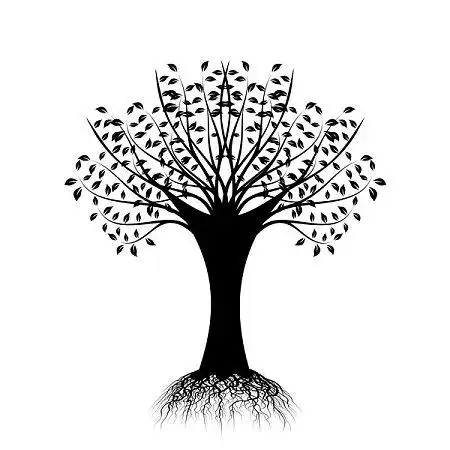 树的图片_图片大全