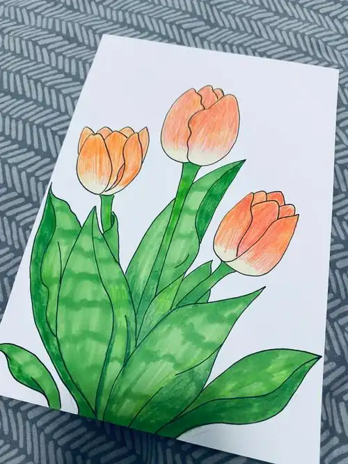 简笔画丨郁金香丨内附绘画过程