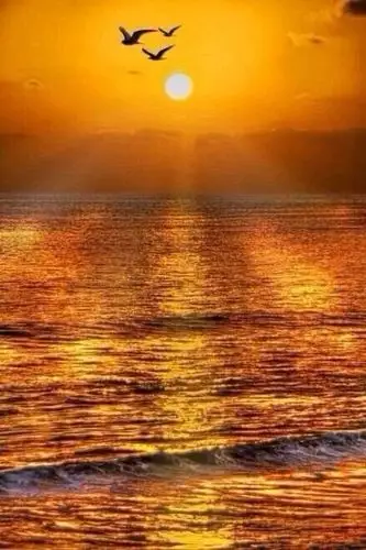 太阳升起时,早晨是新的,你也是新的.