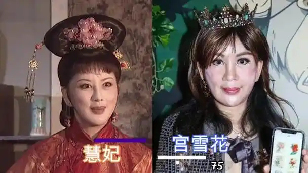 慧妃,宫雪花蓝齐儿的扮演者是胡天鸽,当年还是一个少女,如今已经54岁