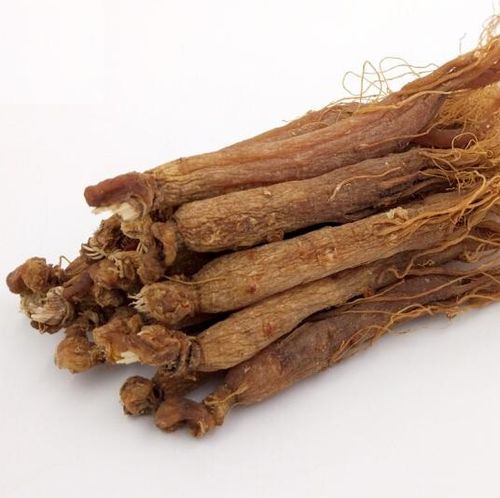 红参长白山人参东北特产泡酒新鲜全须整枝整支人参