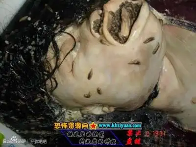 to               推荐博客          id:61232   领域:少女浴室自杀