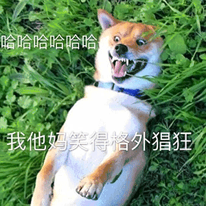 格外帅图片_格外帅动态图_格外帅表情包gif动图下载_soogif