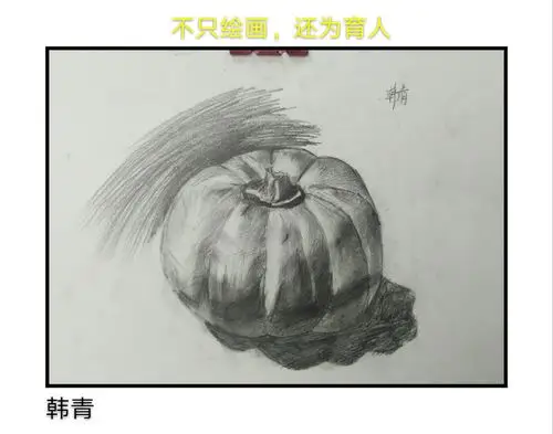美之翼2020年暑假素描班韩青同学作品集
