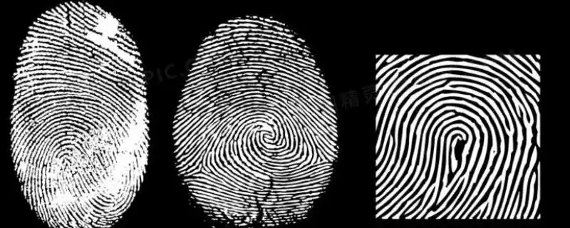 什么是斗形指纹 - 业百科