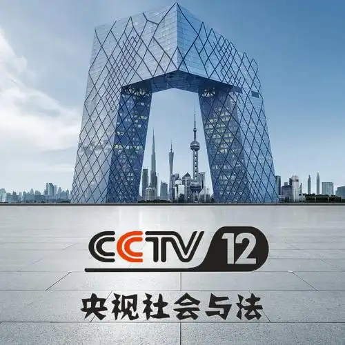 央视社会与法
