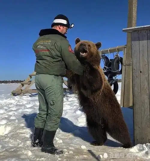 他们经常贴出这只毛茸茸的小熊的照片和视频,曼苏尔也因此成了小名